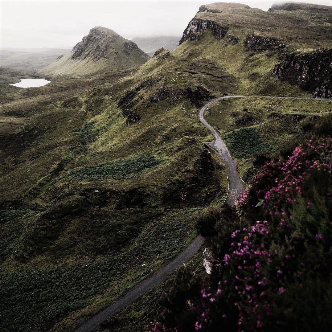 A winding mountain road through green hills with wild heather